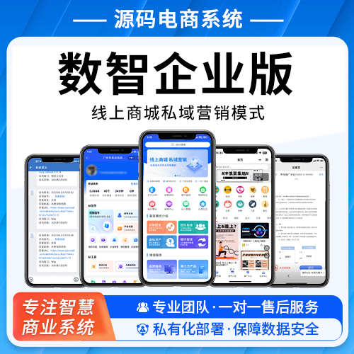 数智企业版 线上商城私域营销模式