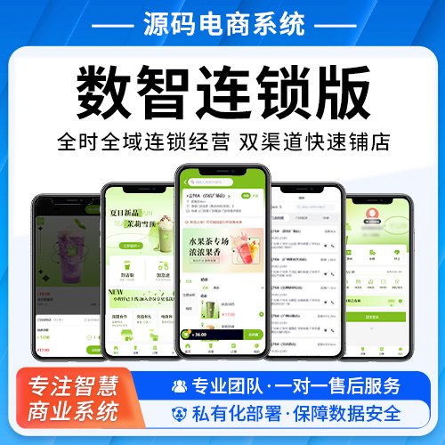 数智连锁版：全时全域连锁经营 双渠道快速铺店